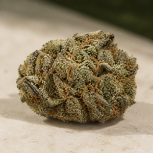 Agent X cannabis flower on a pale stone studio surface