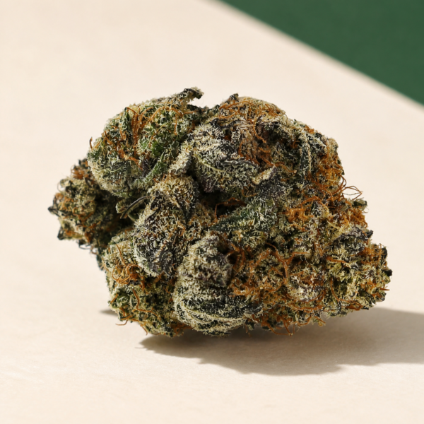 Amnesia Mac cannabis flower on a pale stone studio surface