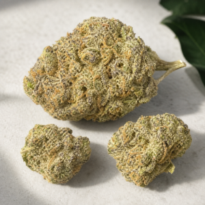 Brownie Scout - cannabis flower product view 3