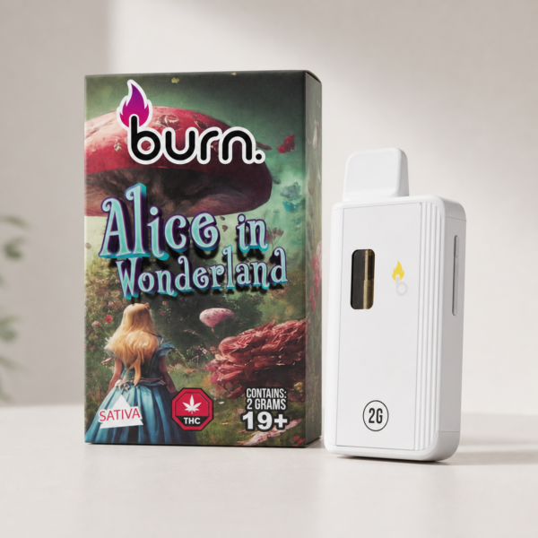 Burn - Alice in Wonderland Sativa Disposable Vape 2g - cannabis vaporizer product photo