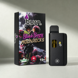 Burn - Blackberry Moonrocks Hybrid Disposable Vape 3g - cannabis vaporizer product photo