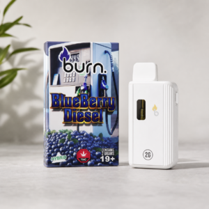 Burn - Blueberry Diesel Hybrid Disposable Vape 2g - cannabis vaporizer product photo