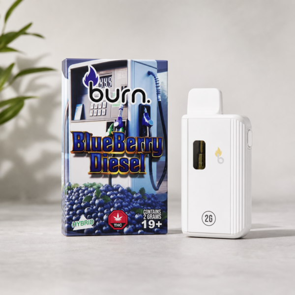 Burn - Blueberry Diesel Hybrid Disposable Vape 2g - cannabis vaporizer product photo