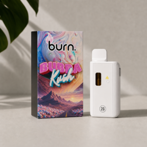 Burn - Bubba Kush Indica-dominant Hybrid Disposable Vape 2g - cannabis vaporizer product photo