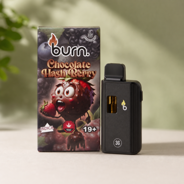 Burn - Chocolate Hashberry Indica Disposable Vape 3g - cannabis vaporizer product photo