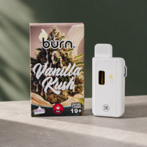 Burn - Vanilla Kush Indica Disposable Vape 2g - cannabis vaporizer product photo