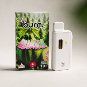 Burn - Guava Sativa Disposable Vape 2g - cannabis vaporizer product photo