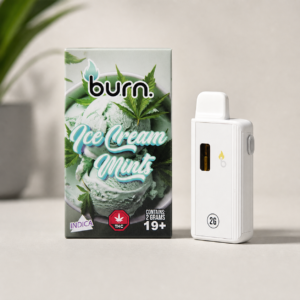 Burn - Ice Cream Mints Indica Disposable Vape 2g - cannabis vaporizer product photo