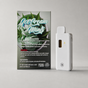 Burn - Ice Cream Mints Indica Disposable Vape 2g - cannabis vaporizer product view 2