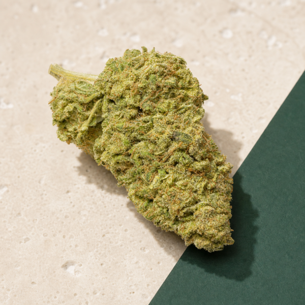Chem Berry D cannabis flower on a pale stone studio surface