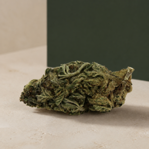 Green Monster Breath AA flower macro on a pale stone studio surface