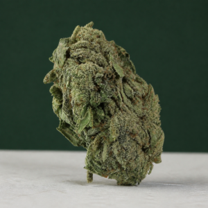 Jack Rabbit alternate product view 2