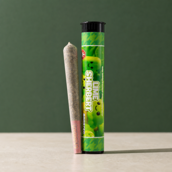 Lime Sherbet Triple Infused Pre-Roll beside its colour-matched retail tube