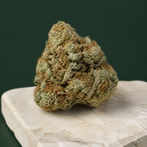 Marty McHigh alternate product view 2