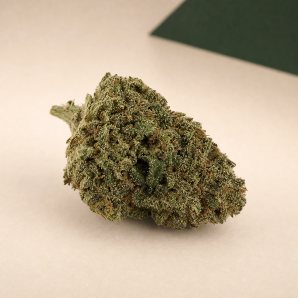 Mojo Melon cannabis flower on a pale stone studio surface