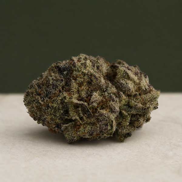 Purple Fat Pie AAAA flower macro on pale stone