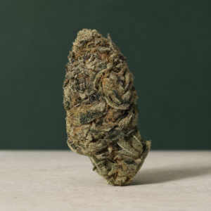 Starfruit Skunk AAAA flower upright macro showing compact green bud structure