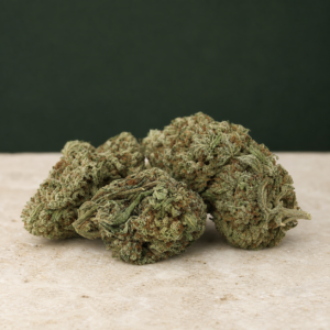 The Undercaker cannabis flower low side studio view