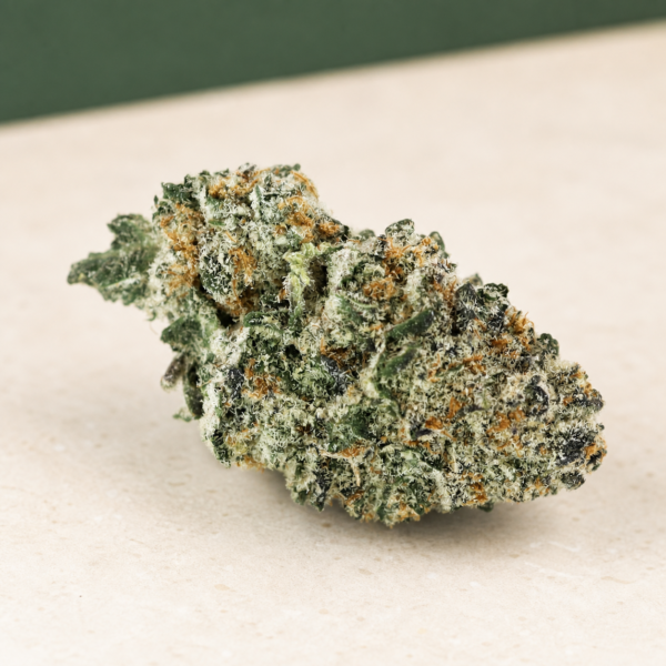 Xeno cannabis flower on a pale stone studio surface